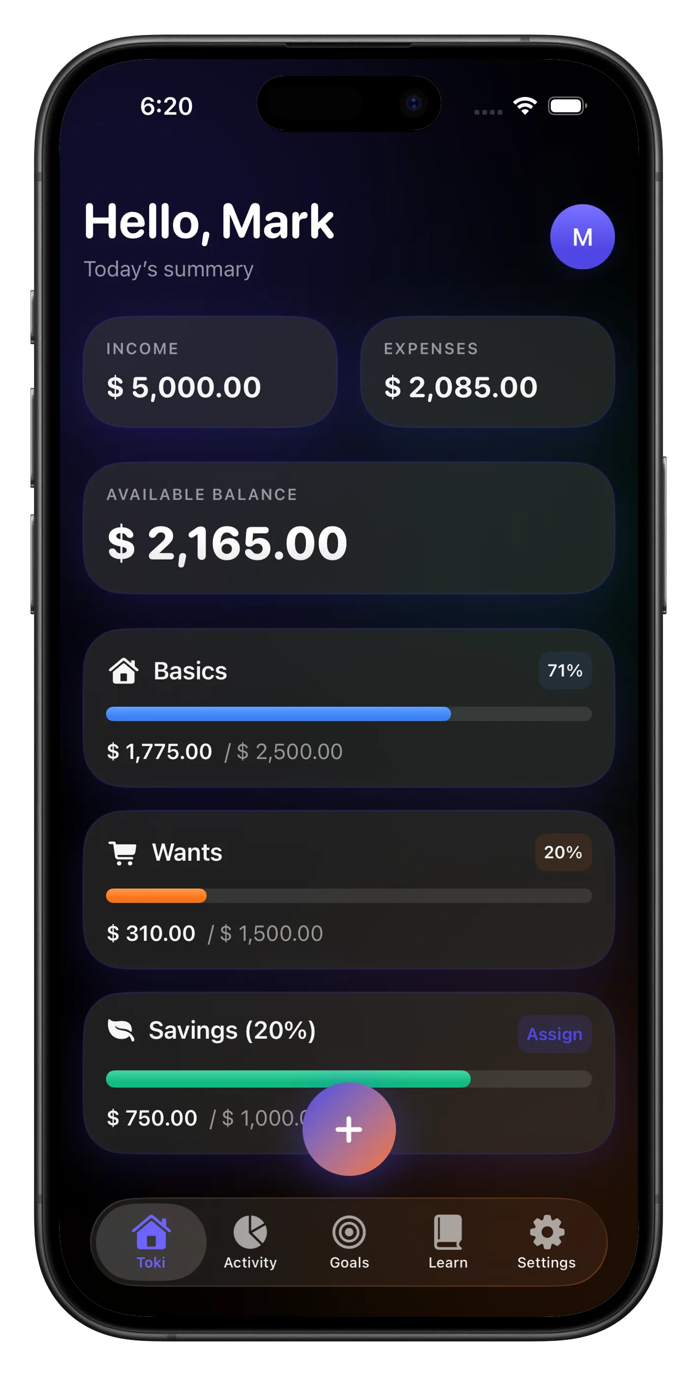 Toki Budget Dashboard